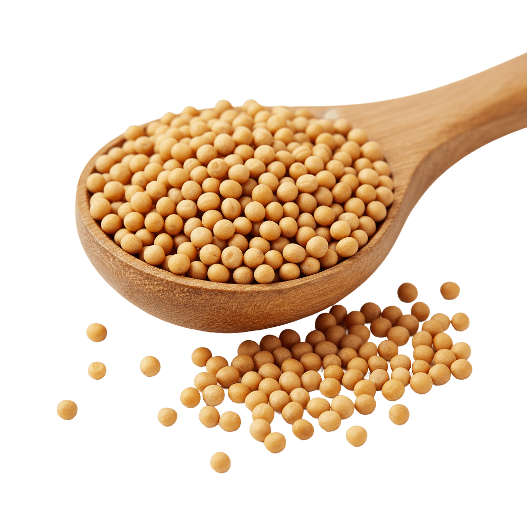 Mustard Seed
