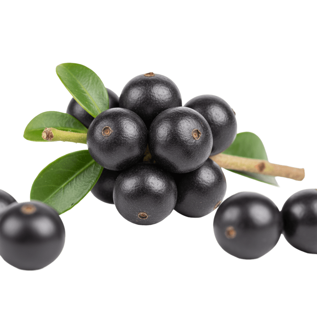 Acai Berry